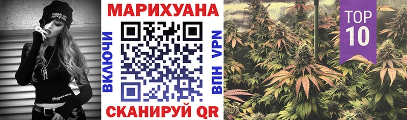 omg как войти  нарко площадка наркотические препараты  Бошки Шишки семена  Сольвычегодск 